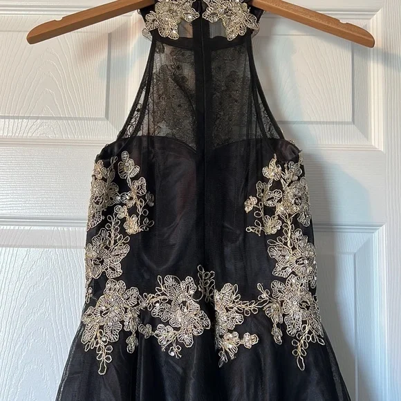 Bee Darlin Dress | Princess Halter Neck | Full Zipper Lined - Picture 4 of 5